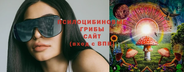 ешки Алексеевка