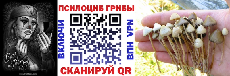 даркнет состав  Миллерово  Галлюциногенные грибы GOLDEN TEACHER 
